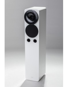 hORNS Aria I 2