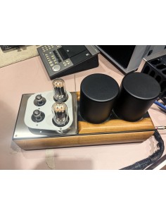 Mastersound 845 Monoblocks 2