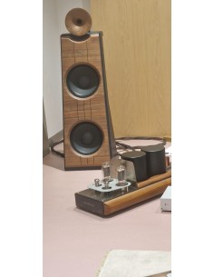 Mastersound 845 Monoblocks