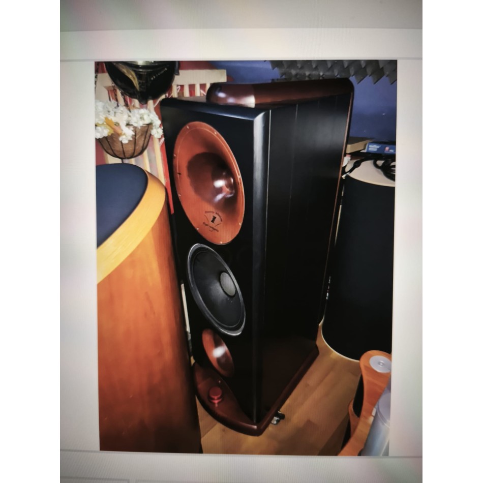 Zingali Home Monitor 115